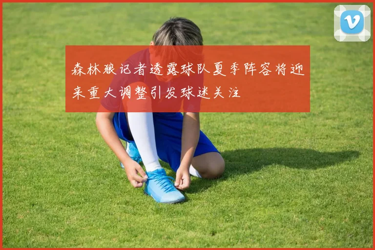 森林狼记者透露球队夏季阵容将迎来重大调整引发球迷关注